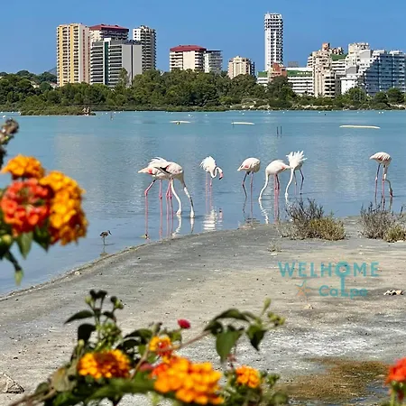 Prázdninový dům Calalga сasa Frente A La Playa Con Piscina Privada *