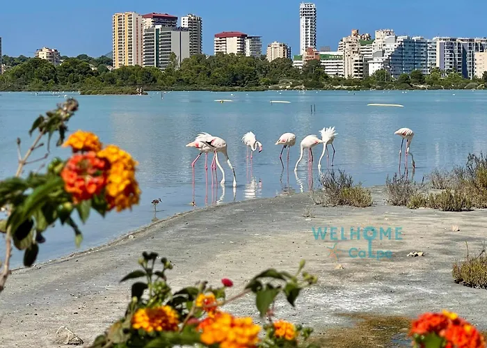 בית נופש Calalga сasa Frente A La Playa Con Piscina Privada *